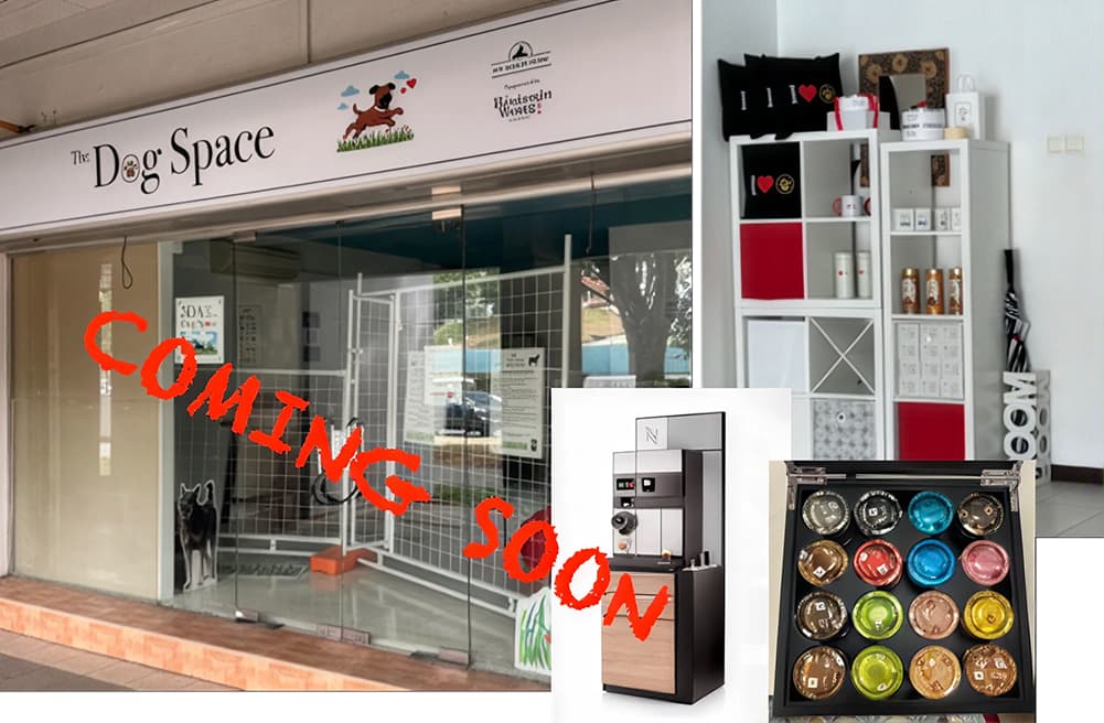 The Dog Space at Sunset Way 2